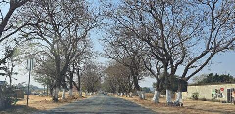 Carretera