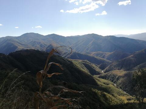 Cerro