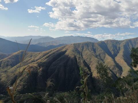 Cerro