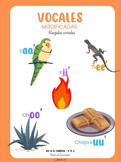 Modificadas