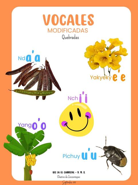 Modificadas