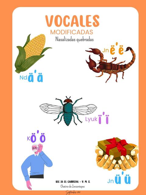 Modificadas