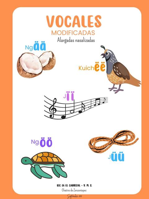 Modificadas