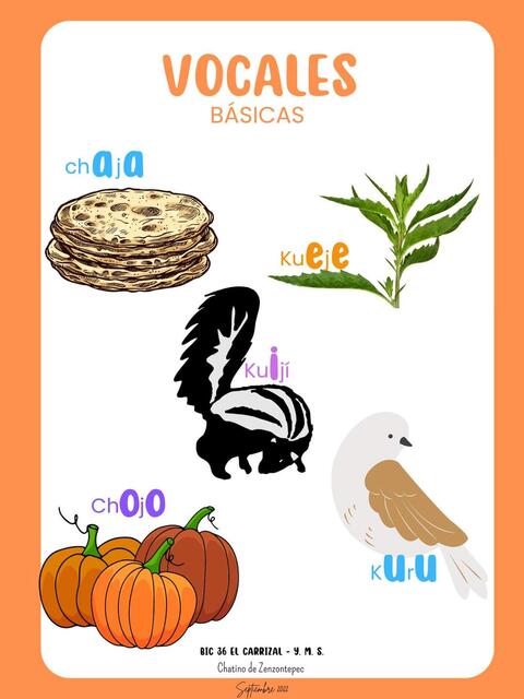 Básicas
