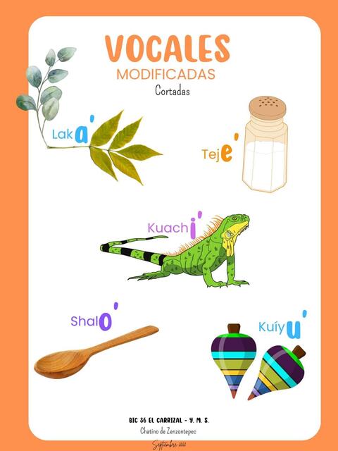 Modificadas