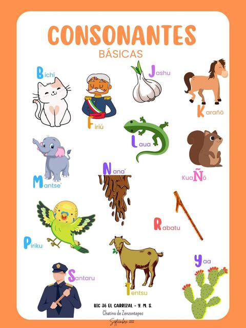 Básicas
