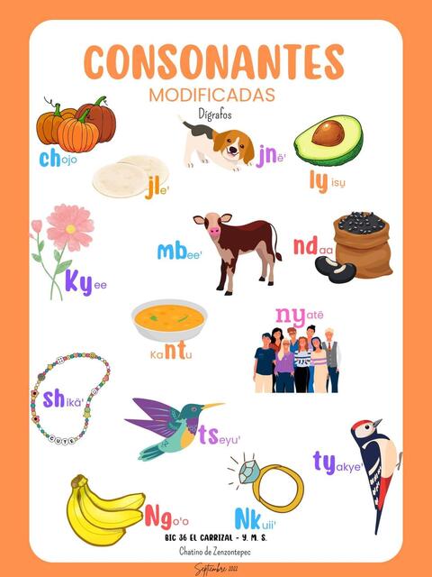 Modificadas